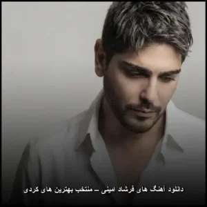 دانلود آهنگ های فرشاد امینی – منتخب بهترین های کردی | گلچین پرشور دانلود آهنگ های فرشاد امینی – منتخب بهترین های کردی | گلچین پرشور