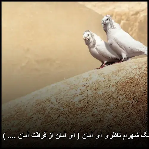 ای آمان ( ای آمان از فراقت آمان .... ) (تصنیف) - شهرام ناظری