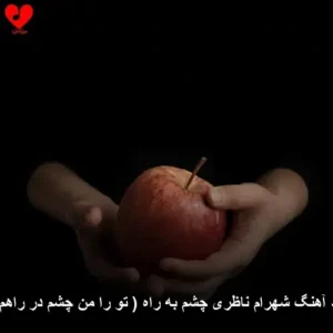 دانلود آهنگ شهرام ناظری چشم به راه ( تو را من چشم در راهم … ) | کیفیت 320 و متن